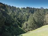 Mt Tamalpais 003